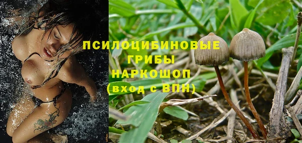 гидра Алзамай