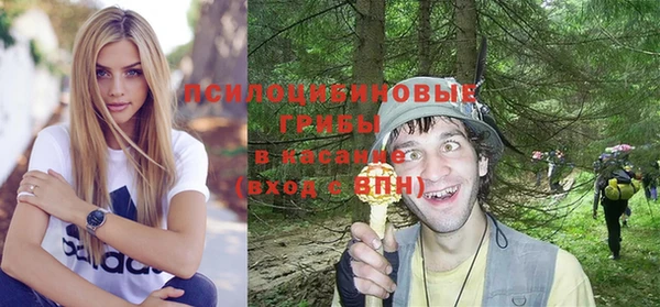 гидра Алзамай