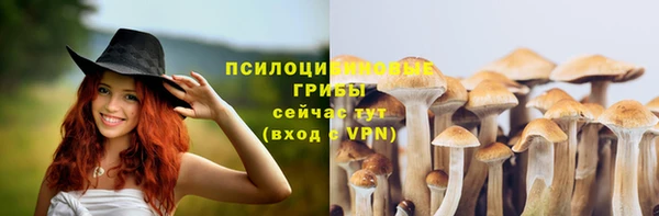 герыч Алексин