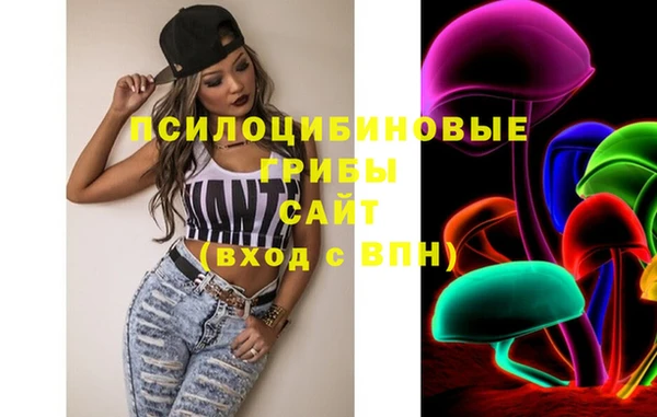 герыч Алексин
