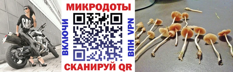 Псилоцибиновые грибы GOLDEN TEACHER  площадка какой сайт  Батайск 